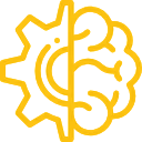 brain
